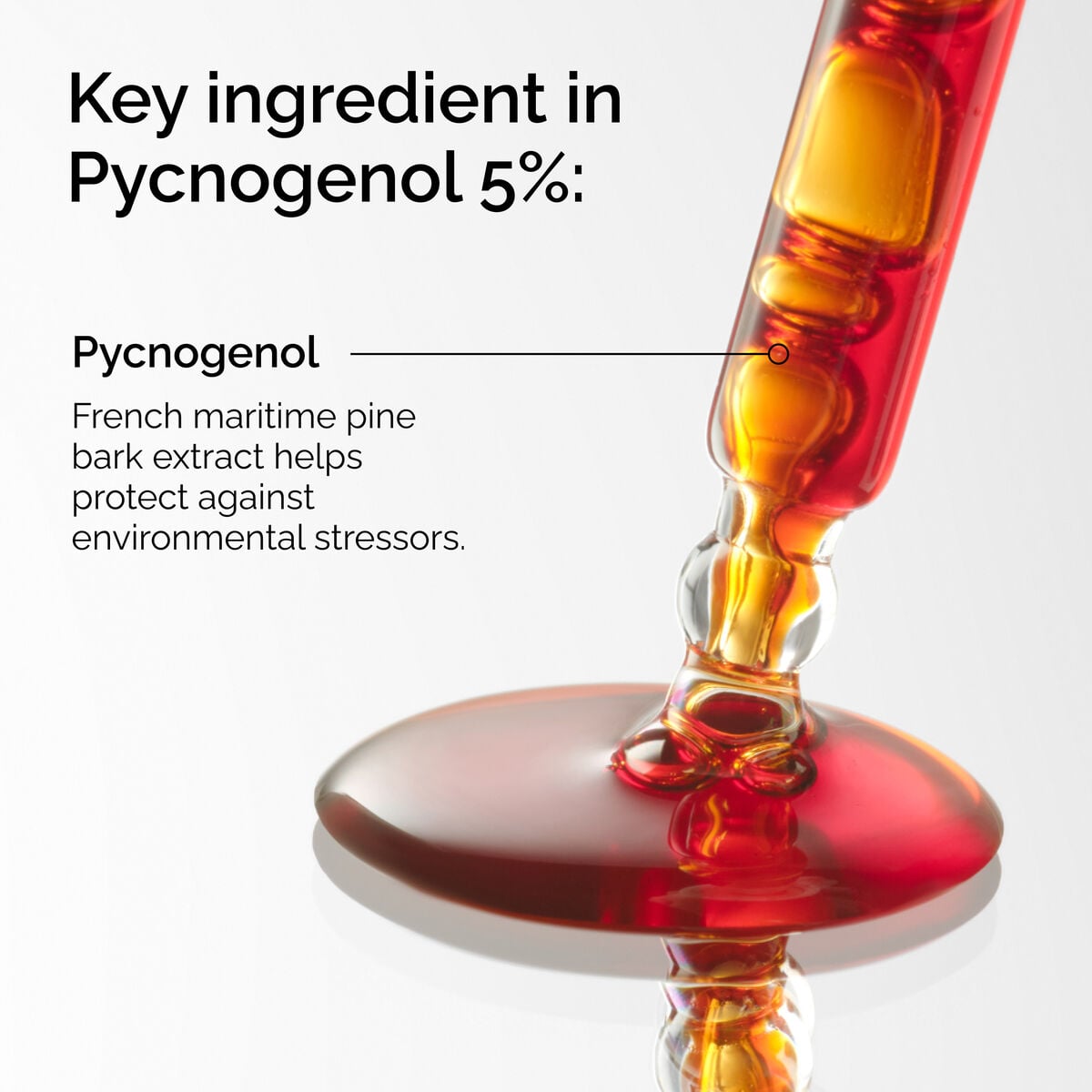 pycnogenol-5-f9 FY25-D41247-ORD-Web-PDP-Pyc-5pct-1x1-EN-2a.jpg