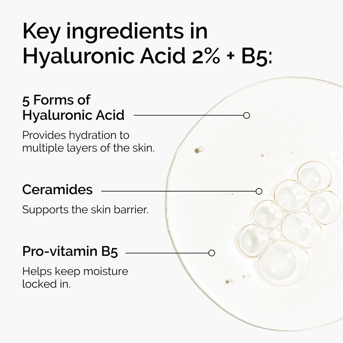 hyaluronic-acid-2-b5-with-ceramides-l2 ord-hyaluronic-acid-2pct-b5-hydrating-serum-ingredients-graphic.jpg